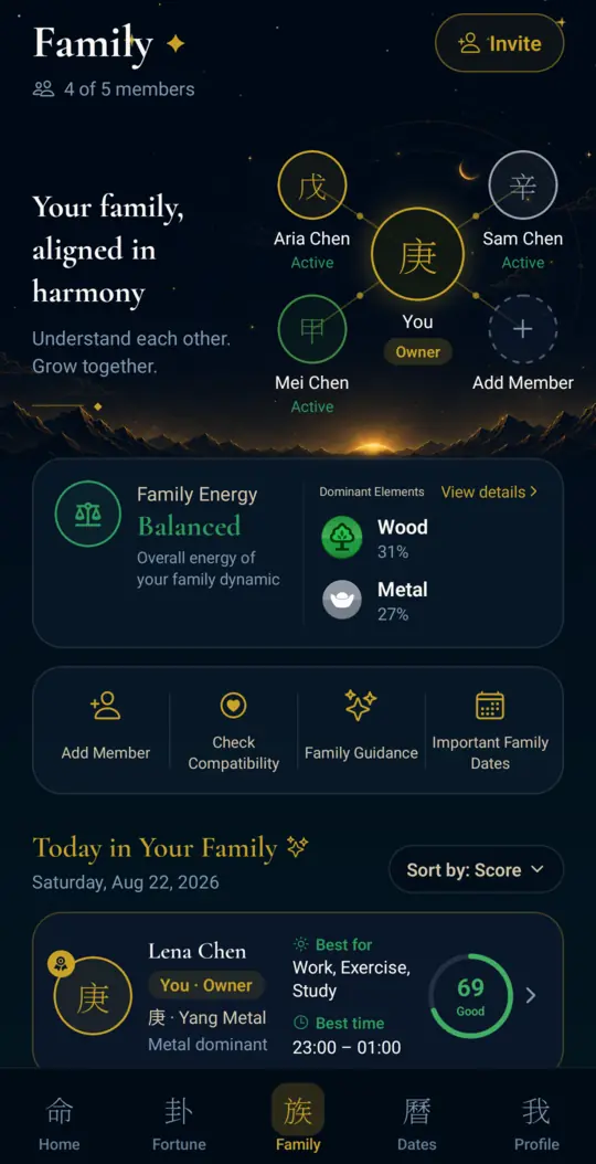 The Family tab in Bazi Fortune, showing the family's energy for today, each member's day score and best hours, and dominant elements across the circle.